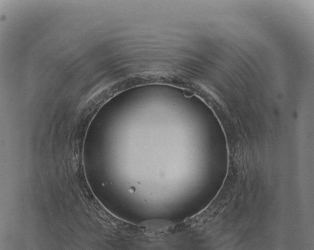 X0000063481015200601271649