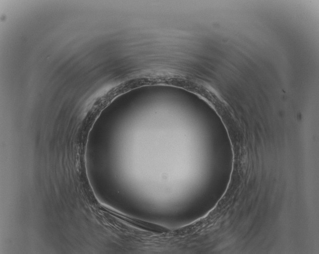 X0000063481016200601271649