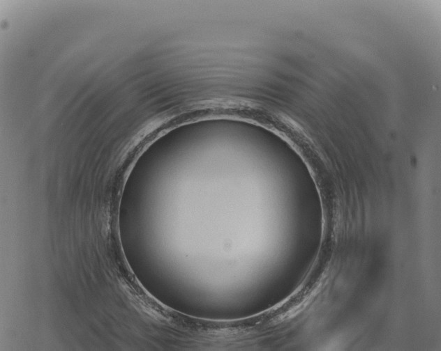 X0000063481017200601271649