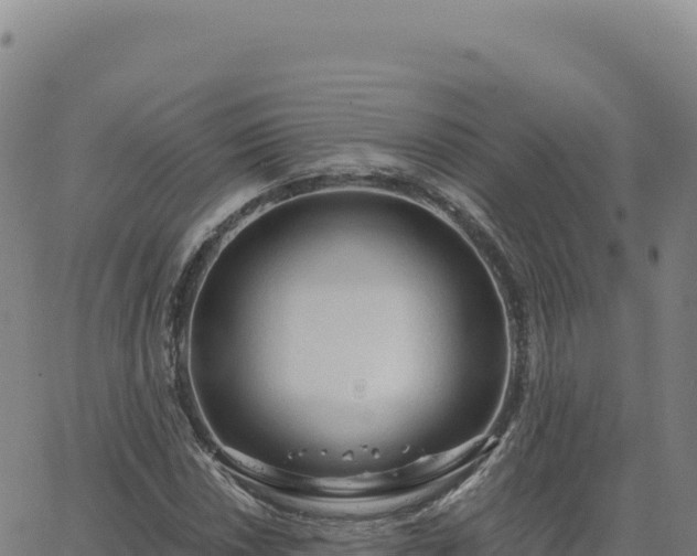 X0000063481018200601271649