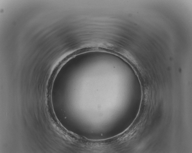 X0000063481020200601271649