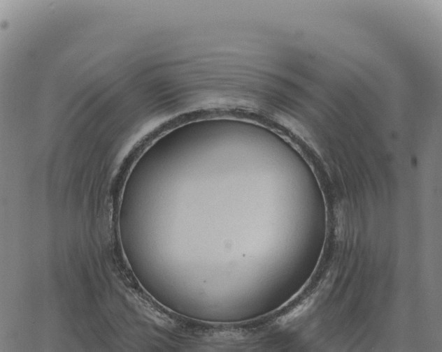 X0000063481021200601271649