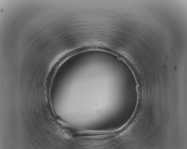 X0000063481022200601271649