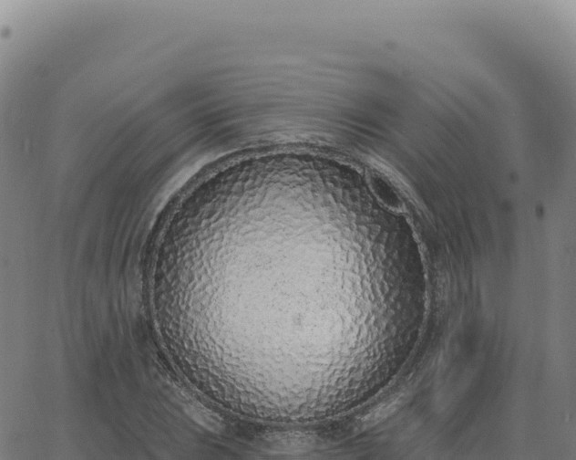 X0000063481023200601271649