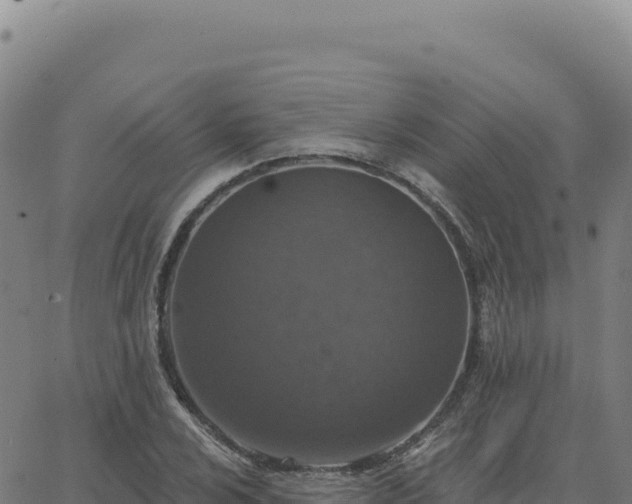 X0000063481024200601271649