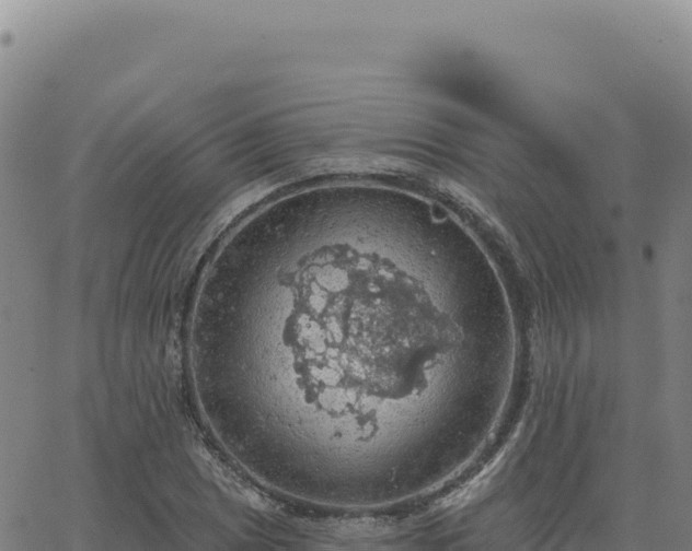 X0000063481025200601271649