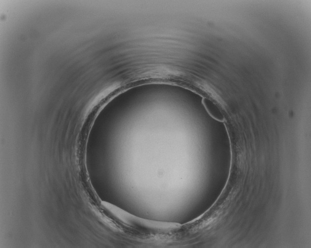 X0000063481026200601271649