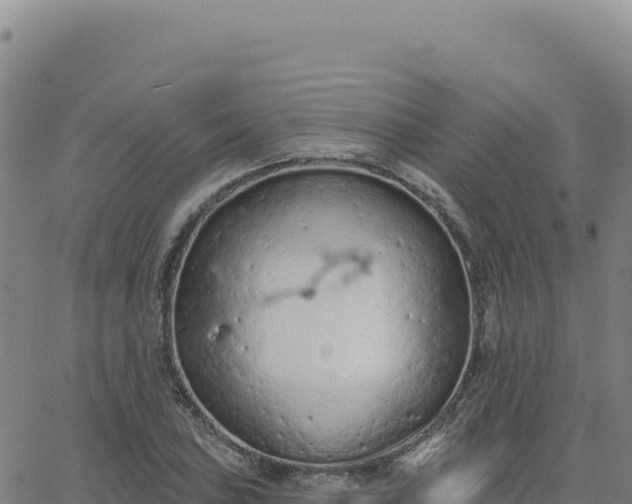 X0000063481027200601271649