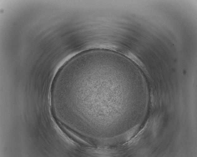 X0000063481028200601271649