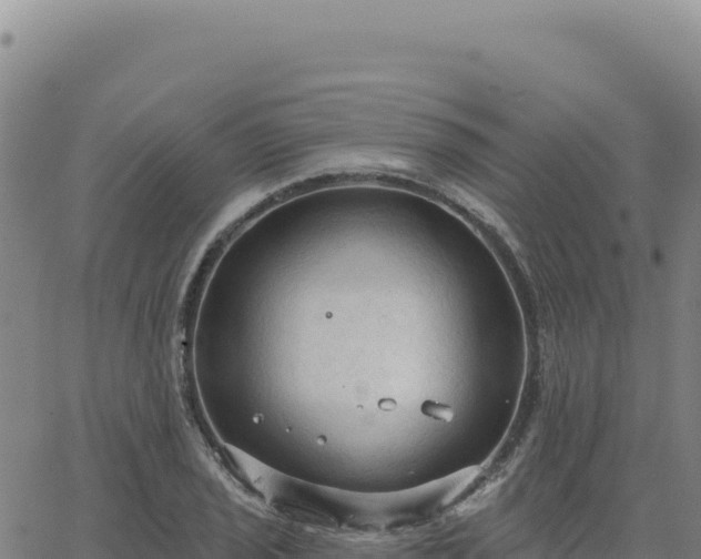 X0000063481029200601271649