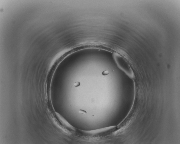 X0000063481030200601271649