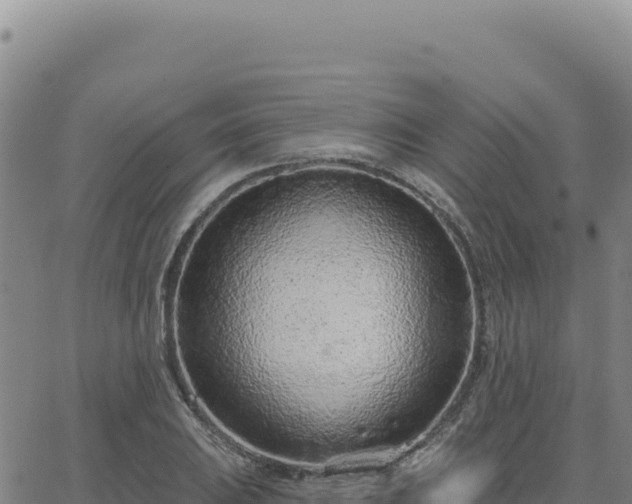 X0000063481031200601271649