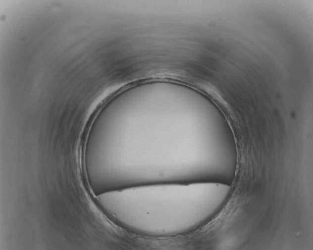 X0000063481032200601271649