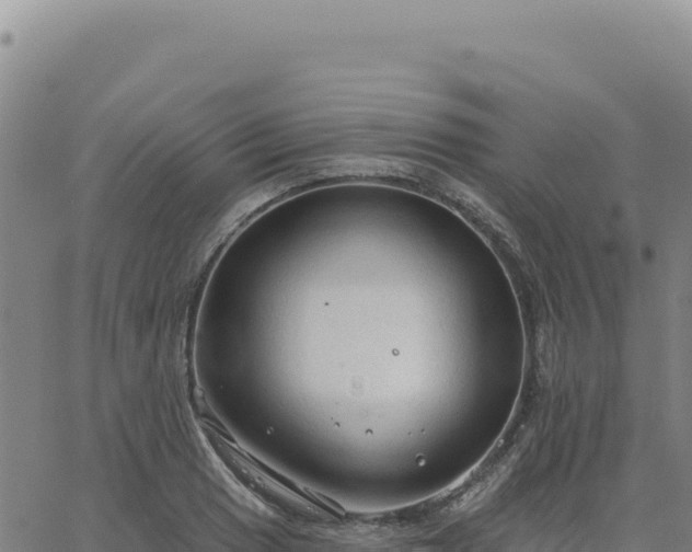 X0000063481033200601271649