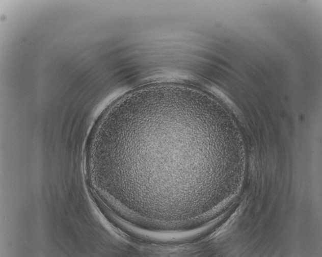 X0000063481034200601271649