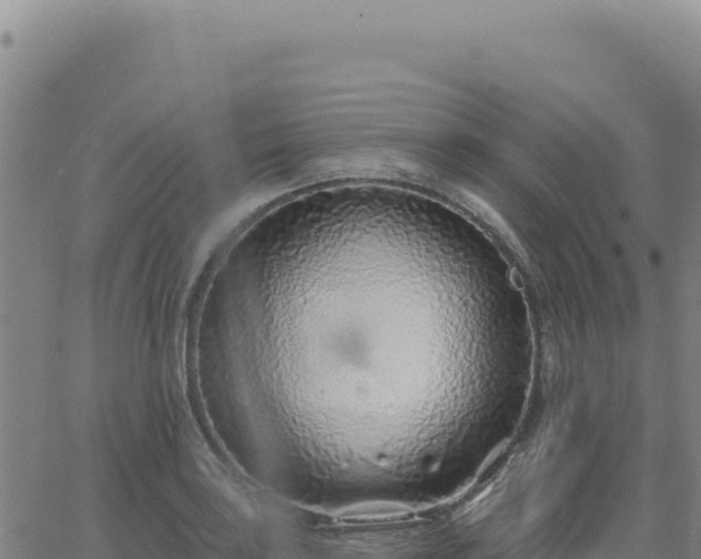 X0000063481035200601271649