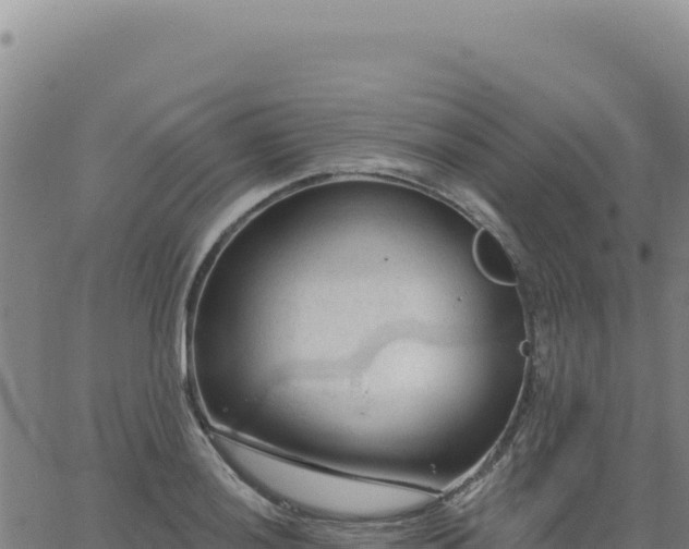 X0000063481036200601271649