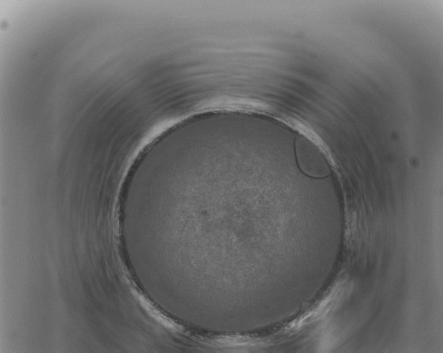 X0000063481037200601271649