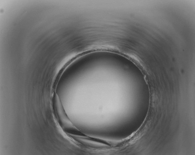 X0000063481038200601271649