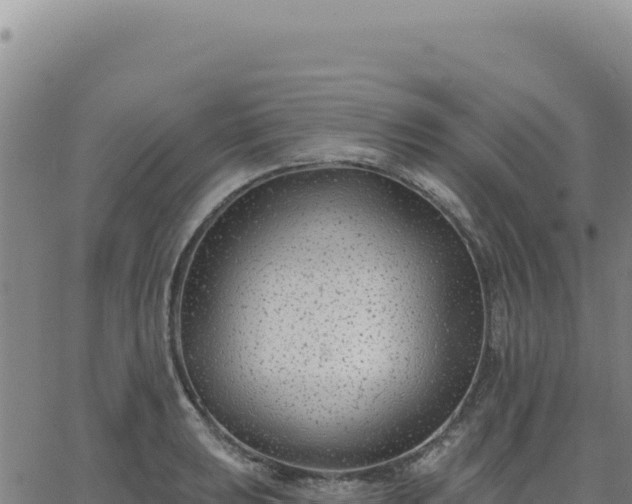 X0000063481039200601271649