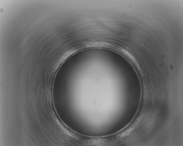 X0000063481041200601271650