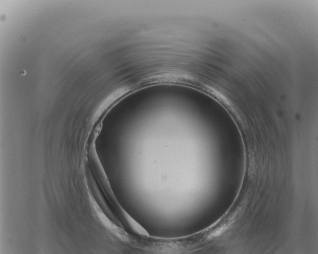 X0000063481042200601271650