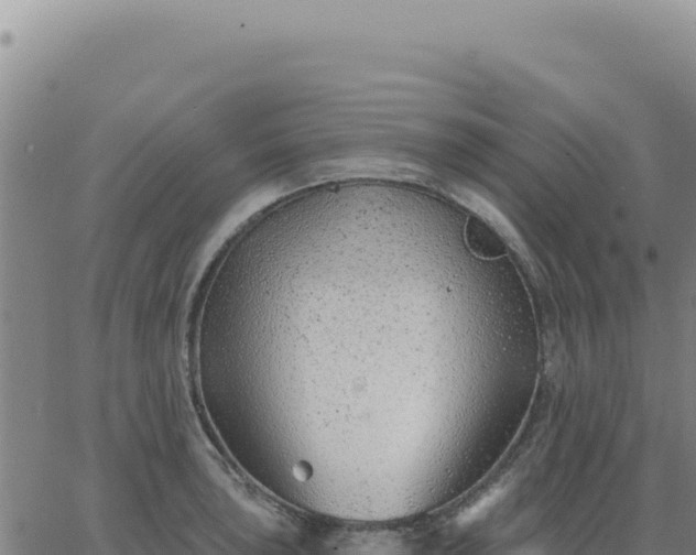 X0000063481043200601271650