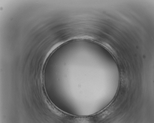 X0000063481044200601271650