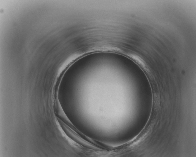 X0000063481046200601271650