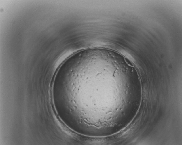 X0000063481047200601271650