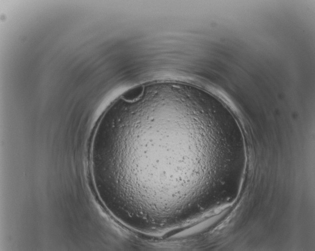 X0000063481048200601271650