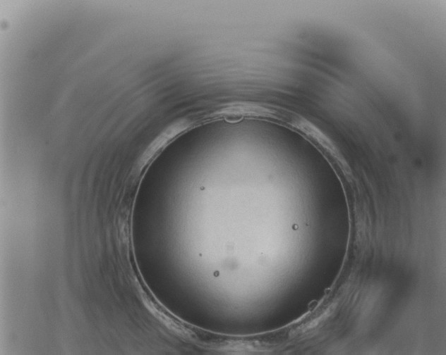 X0000063481049200601271650