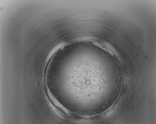 X0000063481050200601271650