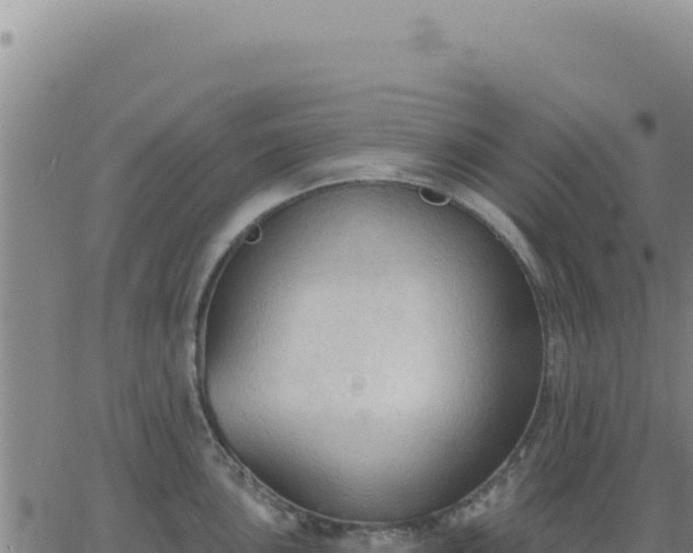 X0000063481051200601271650