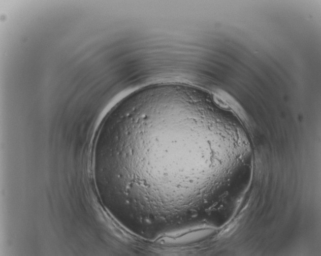 X0000063481052200601271650