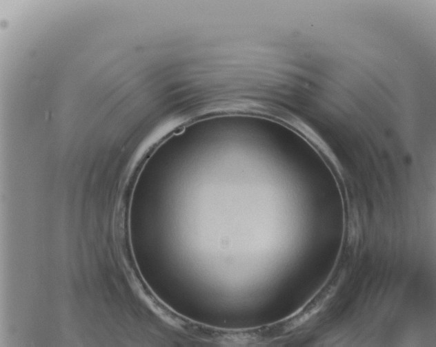 X0000063481053200601271650