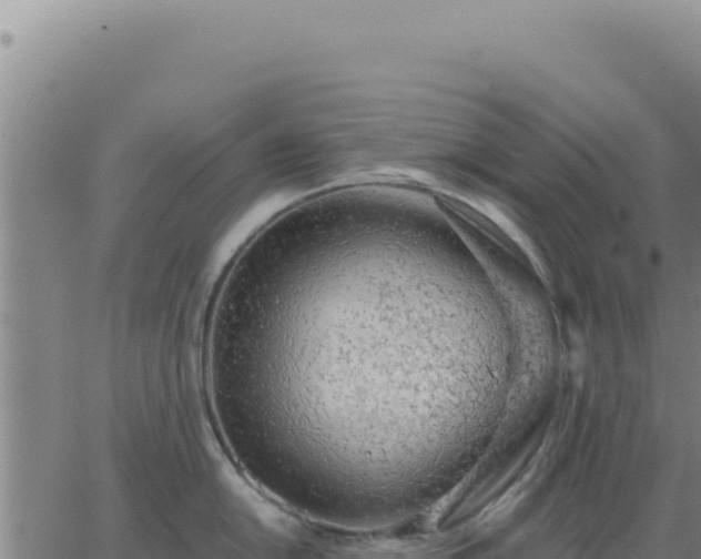 X0000063481054200601271650