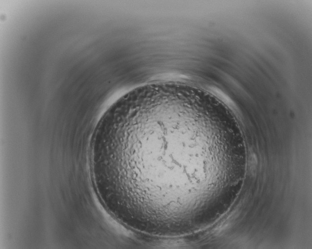 X0000063481055200601271650