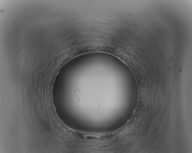 X0000063481057200601271649