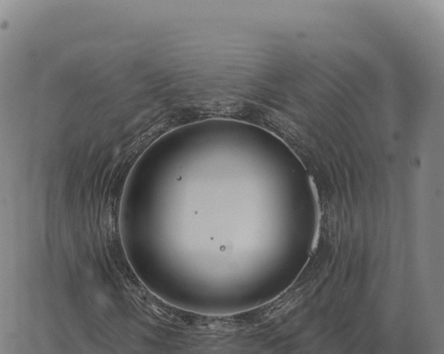 X0000063481058200601271649