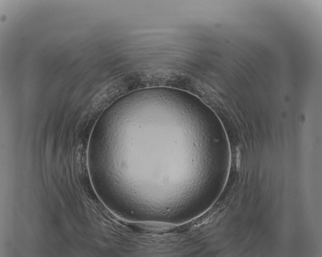 X0000063481059200601271649