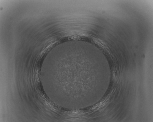 X0000063481060200601271649