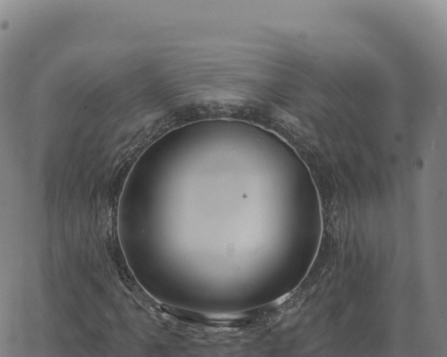 X0000063481061200601271649