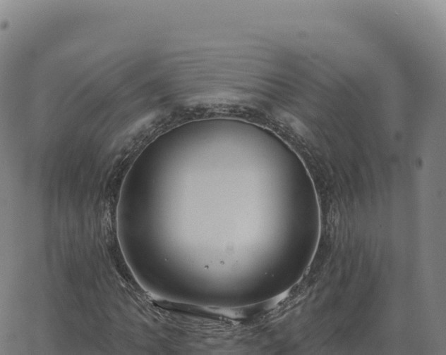 X0000063481062200601271649