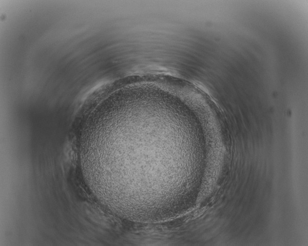 X0000063481063200601271649