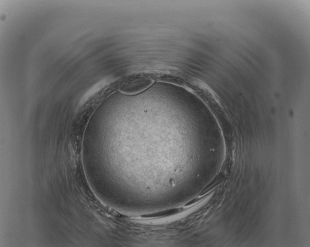 X0000063481064200601271649