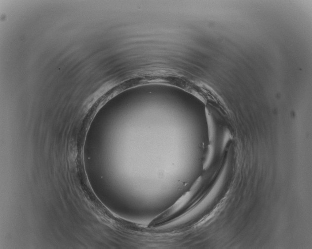 X0000063481065200601271649