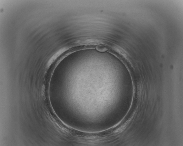 X0000063481066200601271649