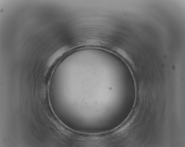 X0000063481067200601271649