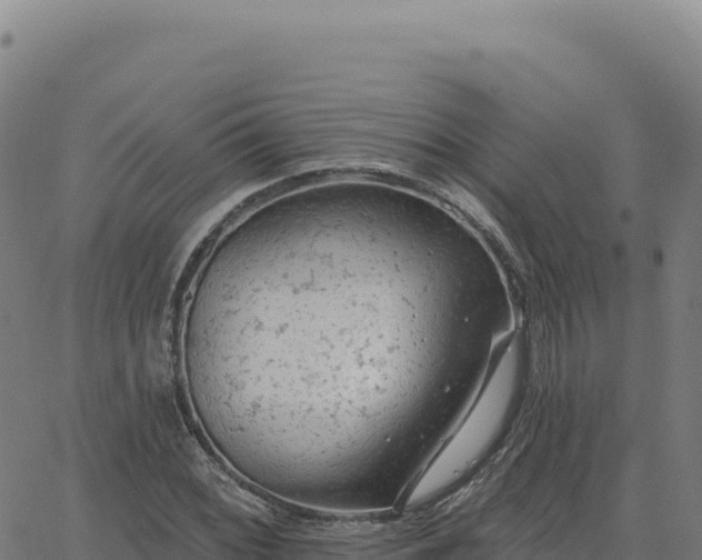 X0000063481068200601271649